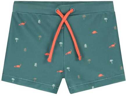 zwemboxer dinosaurussen