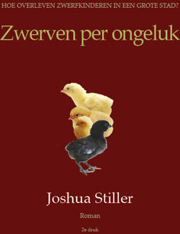 Zwerven per ongeluk - Boek Joshua Stiller (9072475534)