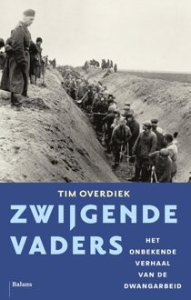 Zwijgende vaders - Tim Overdiek - ebook