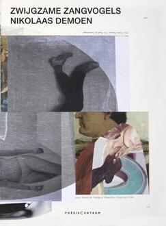 Zwijgzame zangvogels -  Nikolaas Demoen (ISBN: 9789056552527)