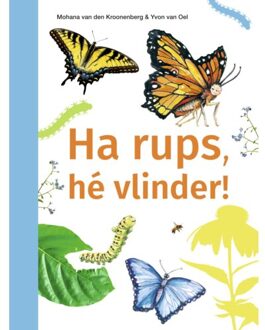 Zwijsen Uitgeverij Ha Rups, Hé Vlinder! - Ik Lees Informatief - Mohana van den Kroonenberg