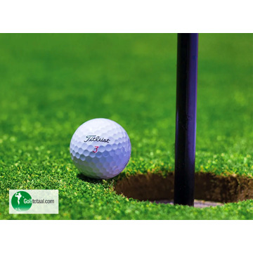 2-daagse GVB cursus van Golftotaal (19 locaties)