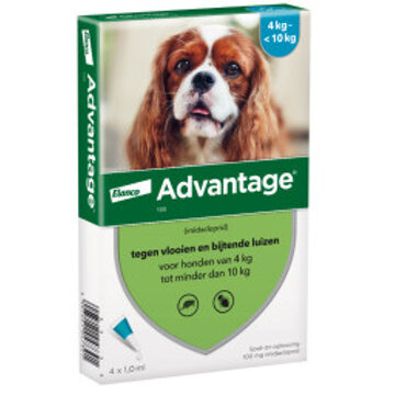 Advantage Nr. 100 vlooienmiddel (4 tot 10kg) hond 1 verpakking