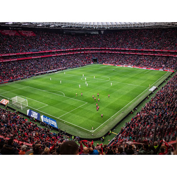 Athletic Bilbao vs Villarreal CF (La Liga) (Eigen vervoer)