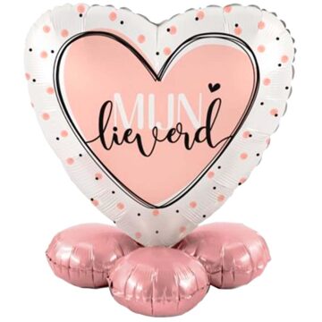 Ballon cadeau mijn lieverd