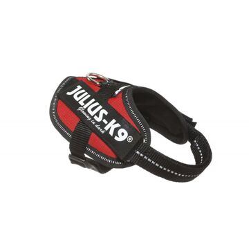 Beeztees JULIUS K9 Power IDC babyharnas 2-XS-S: 33-45 cm - 18 mm - rood - voor hond