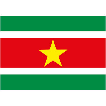 Bellatio Decorations Vlag van Suriname stickers - 7.5 x 10 cm - Binnen/buiten
