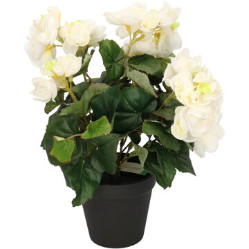 Bellatio Flowers & Plants Kunstplant - Begonia - Wit - 30 cm - In Pot
