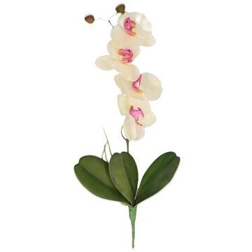 Bellatio Flowers & Plants Wit/Roze Orchidee/Phalaenopsis kunstplant takken 44 cm voor binnen