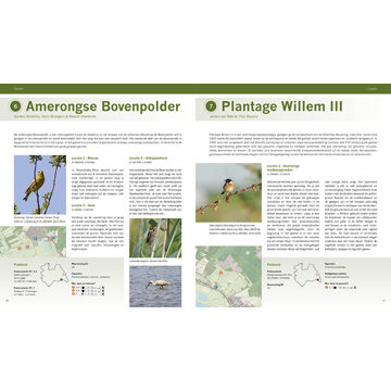 Birdpix De Beste Vogelgebieden Van Nederland - De Mooiste Fotolocaties