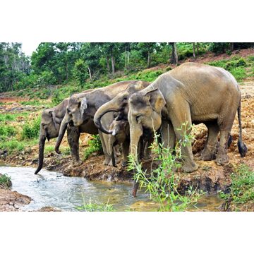 Bouwsteen 15 dagen avontuurlijk Noord-West Sumatra