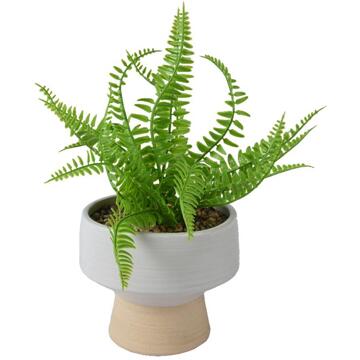 Decoris Kunstplant Varen h24cm Groen