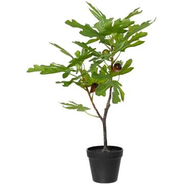 Decoris Vijgenboom in pot 40x35xH60cm groen