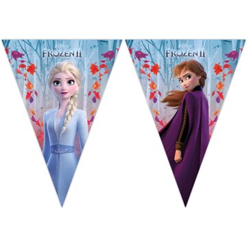 Disney Frozen 2 feest vlaggenlijn 2 meter - Feestbanieren Multikleur