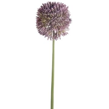 Emerald Allium/Sierui kunstbloem - losse steel - lila paars - 65 cm - Natuurlijke uitstraling - Kunstbloemen