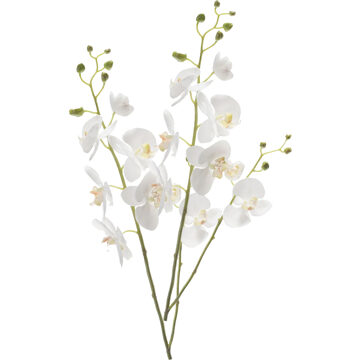 Emerald Kunstbloem Orchidee - 2x - 95 cm - wit - losse tak - kunst zijdebloem - Phalaenopsis