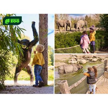 Entreeticket Eindhoven Zoo