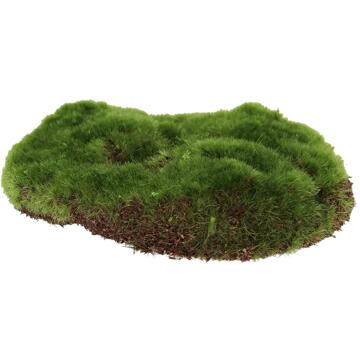 Esschert Design Kunstmos S 15x13cm groen