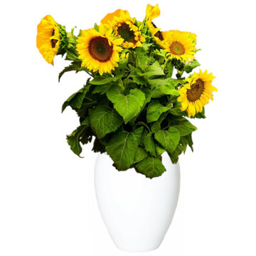 Floran Vaas - wit - glanzend - keramiek - 25 x 28 cm