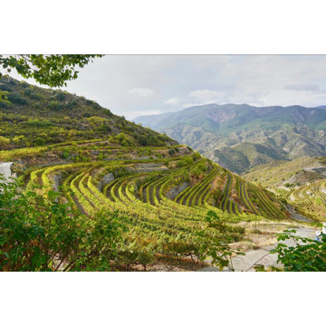 Fly-drive Couleur locale 11 dagen