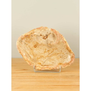 Fruitschaal versteend hout F-19