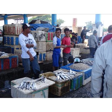 Groepsreis 21 dagen culinair Sulawesi