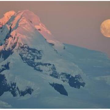 Groepsrondreis Antarctica, S. Georgia en de Poolcirkel