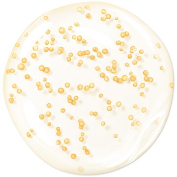 Guerlain Abeille Royale Youth Watery Oil Serum 75ml