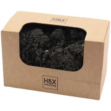 HBX natural living Basic Rendier Mos 50gr Zwart