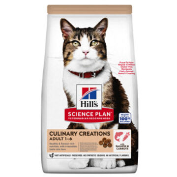 Hill&apos;s Hill's Culinary Creations Adult kattenvoer met zalm en wortel 2 x 10 kg