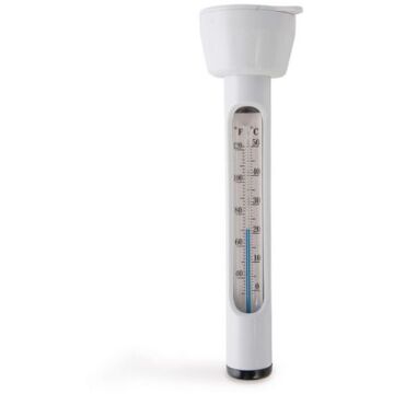 Intex thermometer Wit