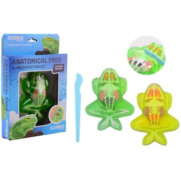 Johntoy Science kikker anatomie slijm verschillende