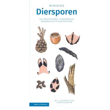 KNNV Uitgeverij Minigids  -   Set minigids Diersporen