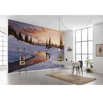Komar Fotobehang - America the Beautiful 450x280cm - Vliesbehang Multikleur