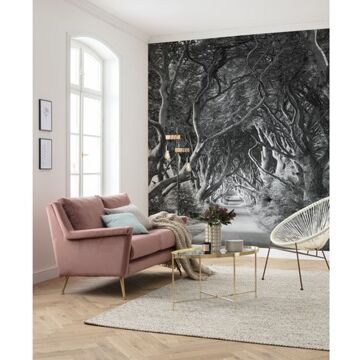 Komar Fotobehang - Forevenue 250x280cm - Vliesbehang Multikleur