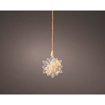 Lumineo Micro Led Ster met droogbloemen Ø 19cm transparant