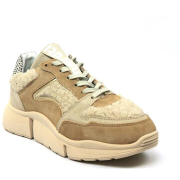 Maruti Cody Sneakers Beige Beige - Teddy - 37