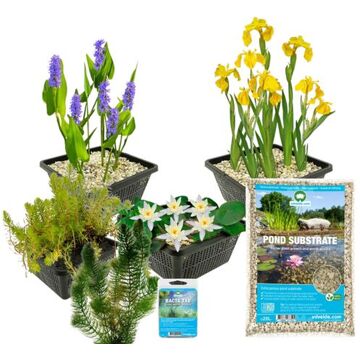 Moerings waterplanten Baardloze Iris Iris Siberica Blue - 4 stuks + Aqua Set - Winterharde Vijverplanten - Van der Velde Waterplanten