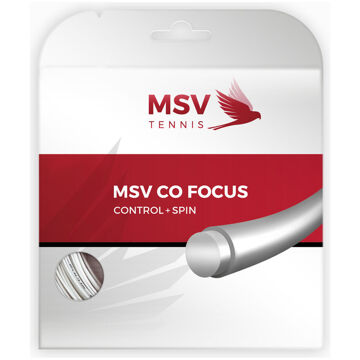 MSV Co.-Focus Set Snaren 12m grijs - 1.18,1.23