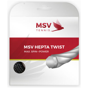 MSV Hepta zwart - 1.25