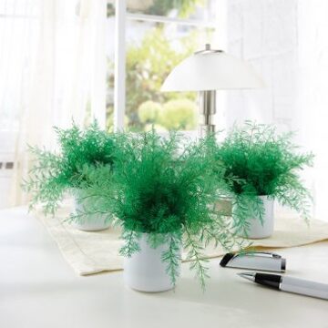 Muggenafschrikkende “Neptunus”