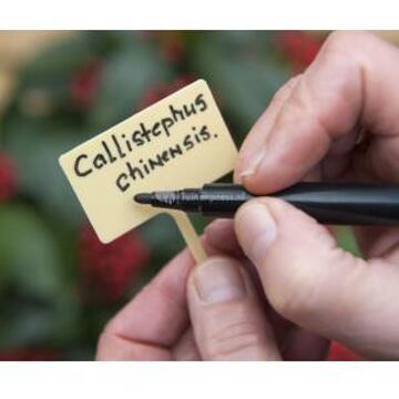 Nature Plaatetiketten incl.tuinstift H13cm set a 10 stuks Geel