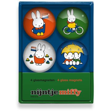 Nijntje Glasmagneten Ø4cm 4 Stuks In Doos