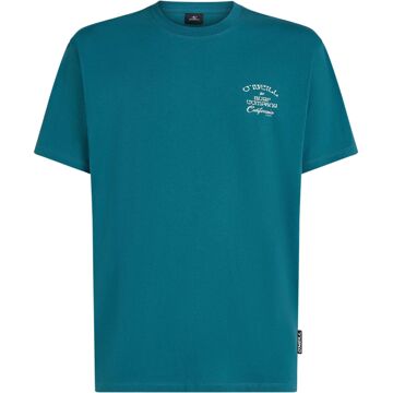 O'Neill Beach Chest Print Shirt Heren