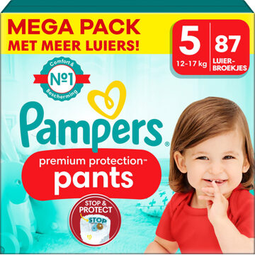 Pampers Premium Protection Pants - Maat 5 - Mega Pack - 87 stuks - 12/17 KG