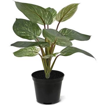 Philodendron Birkin 30 cm - Kunstplant