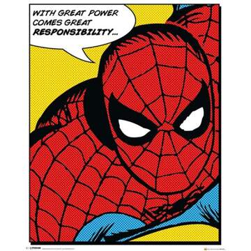 Pyramid Poster Spider-Man Quote 40x50cm Multikleur