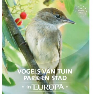 Rebo Productions Vogels van tuin, park en stad in Europa - Boek Jaap Schelvis (903663086X)