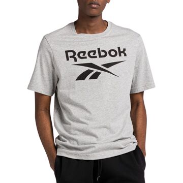 Reebok Groot Gestapeld Logo T-shirt Reebok , Gray , Heren - M