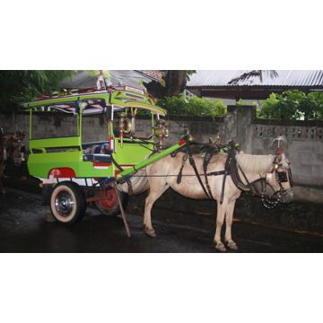 Rondreis 14 dagen Ongerept Lombok